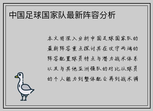 中国足球国家队最新阵容分析