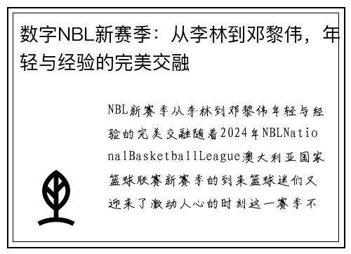 数字NBL新赛季：从李林到邓黎伟，年轻与经验的完美交融